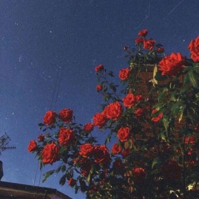 召唤与合成百度版下载